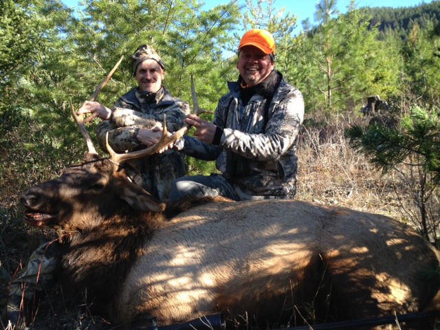 John Galica Elk at 800 yards. Shot in Montana